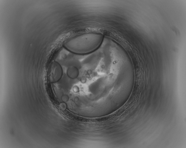 X0000115090738200911101523