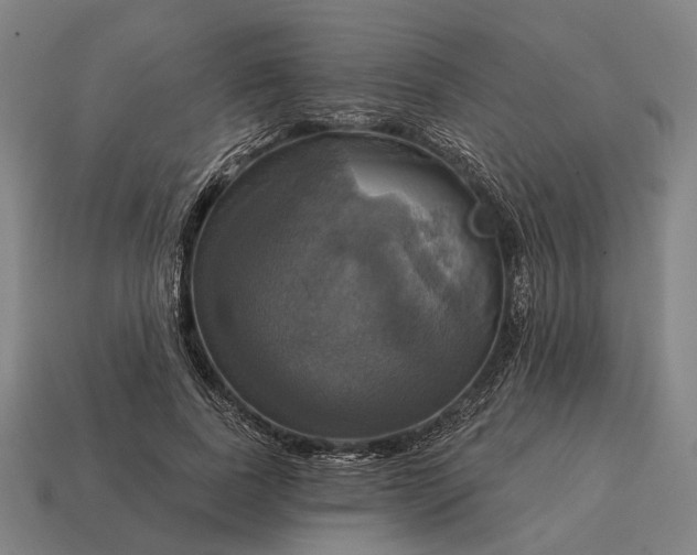 X0000115090739200911101523