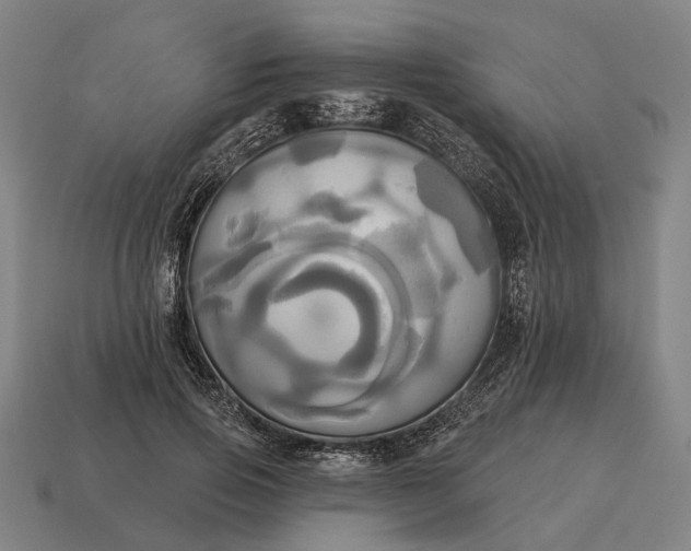 X0000115090741200911101523