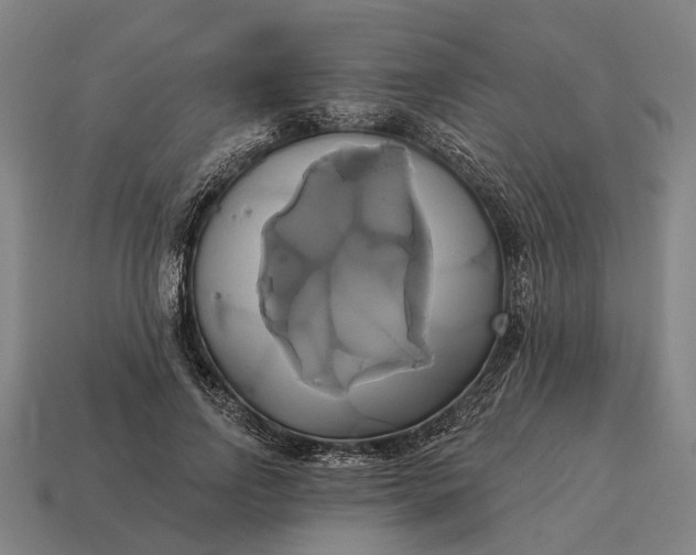 X0000115090742200911101523