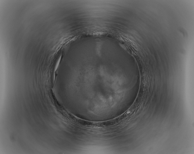 X0000115090743200911101523