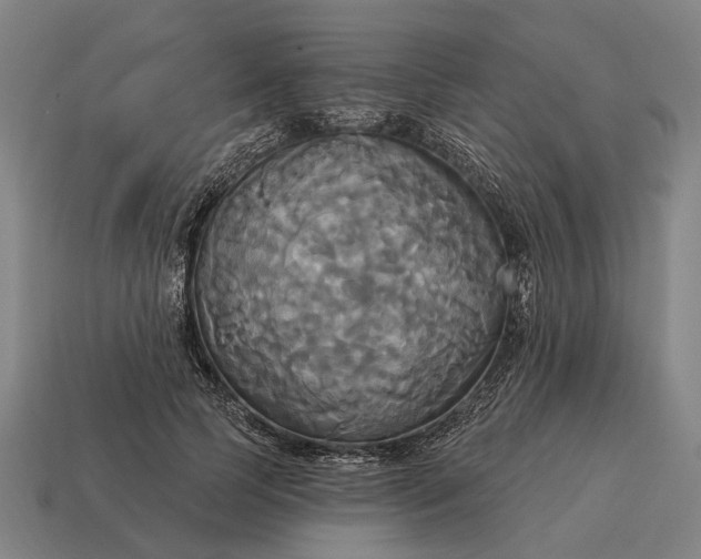 X0000115090745200911101523