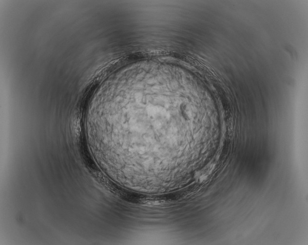 X0000115090746200911101523