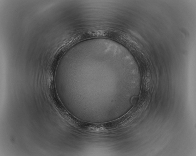 X0000115090747200911101523