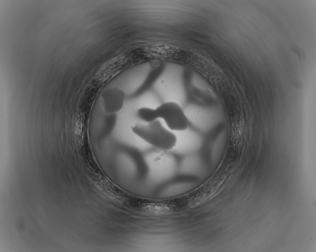 X0000115090749200911101523