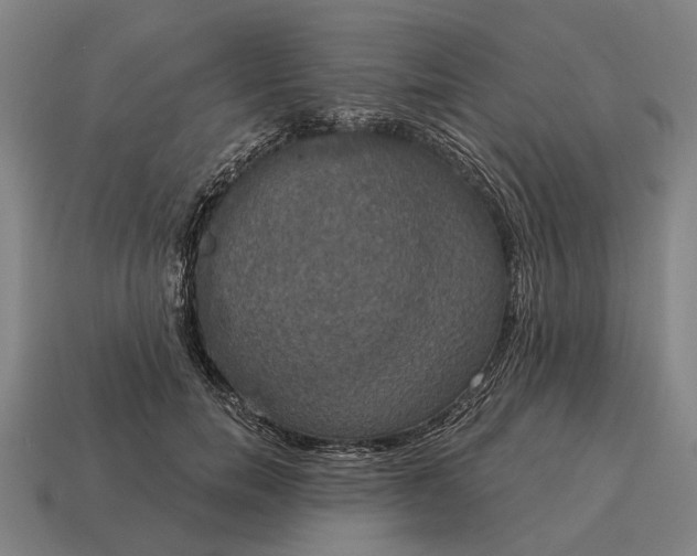 X0000115090750200911101523