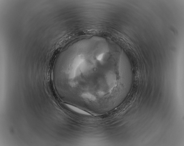 X0000115090751200911101523