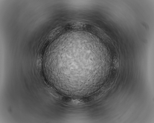 X0000115090753200911101523