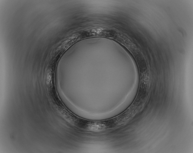 X0000115090754200911101524