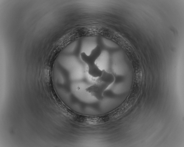 X0000115090757200911101524