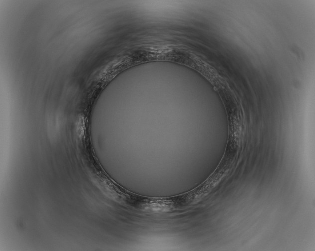 X0000115090758200911101524
