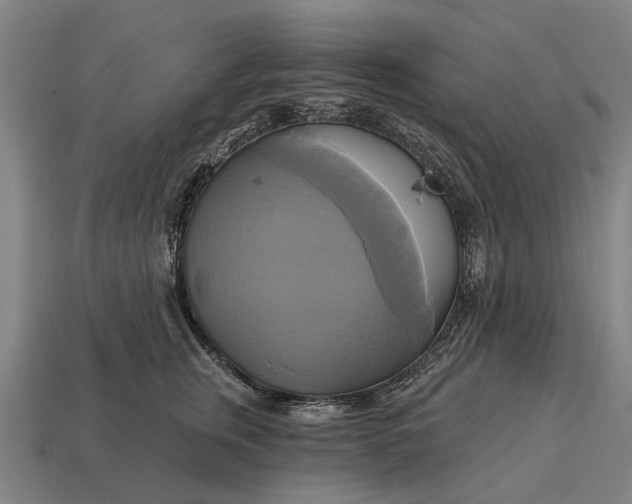 X0000115090759200911101524