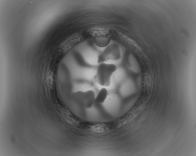 X0000115090761200911101524