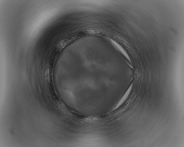 X0000115090762200911101524
