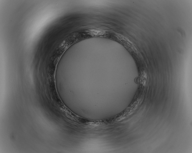 X0000115090763200911101524