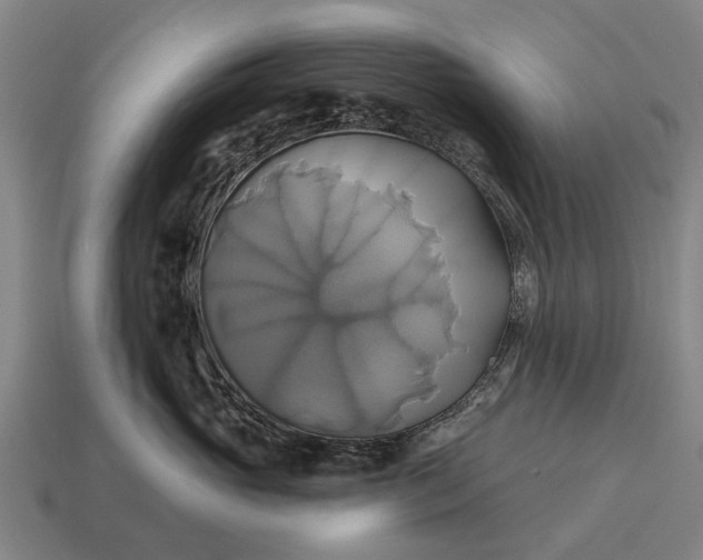 X0000115090765200911101524