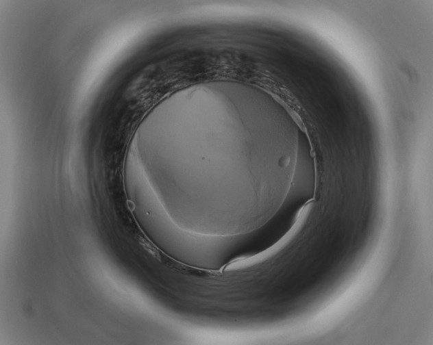X0000115090766200911101524