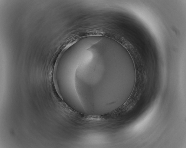 X0000115090767200911101524