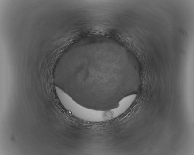 X0000115090769200911101523