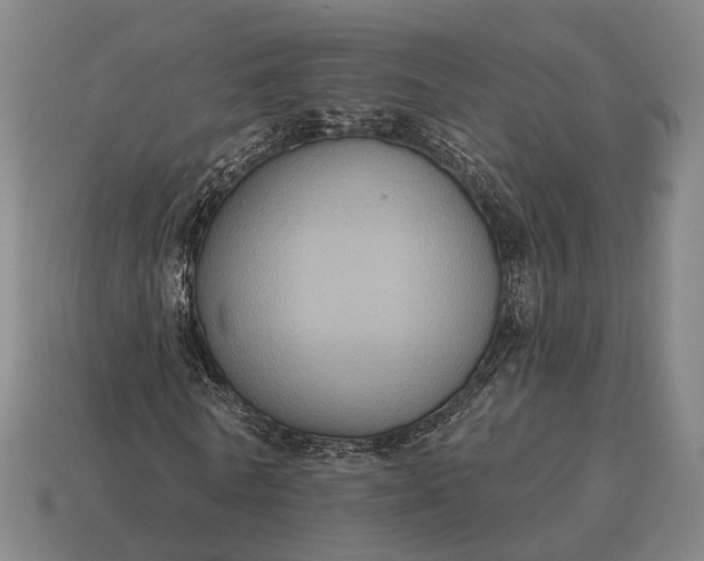 X0000115090770200911101523