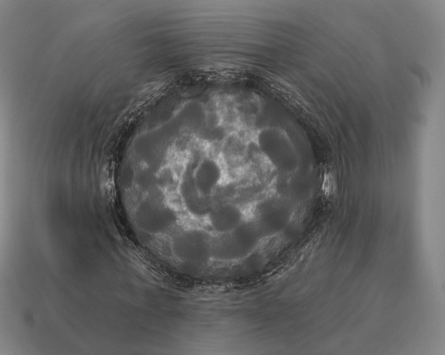X0000115090771200911101523