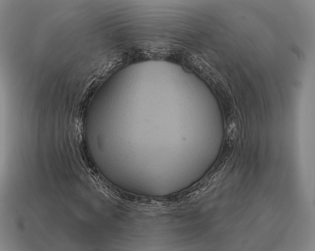 X0000115090772200911101523