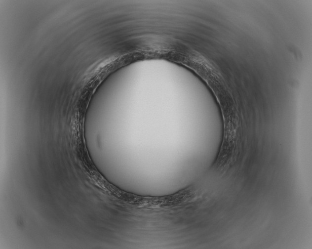 X0000115090773200911101523