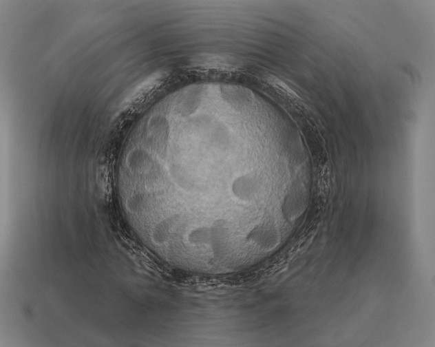 X0000115090774200911101523