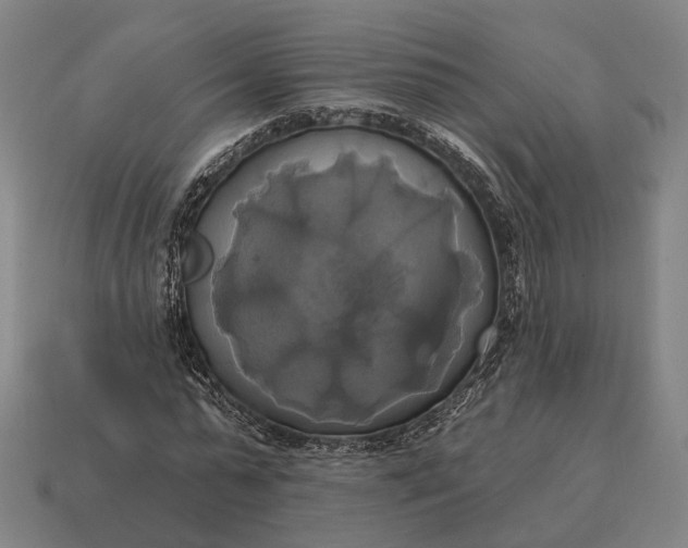 X0000115090775200911101523