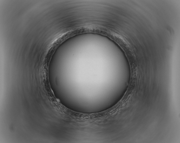 X0000115090776200911101523