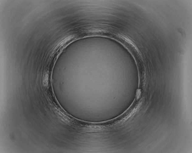 X0000115090777200911101523