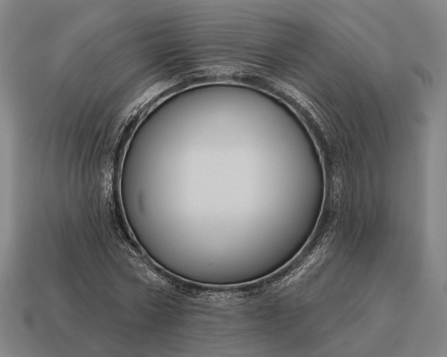 X0000115090778200911101523