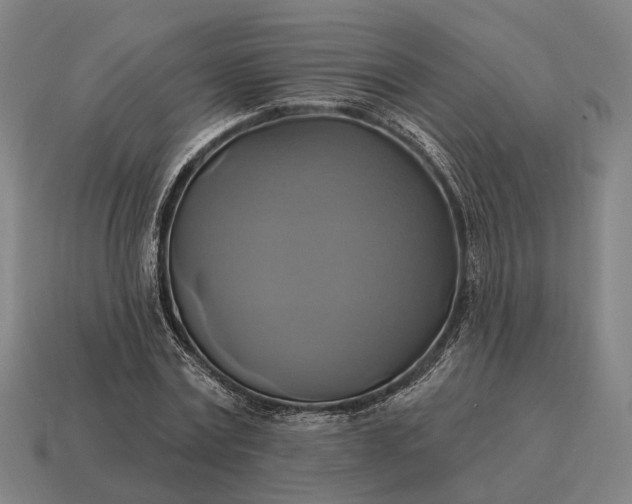 X0000115090779200911101523