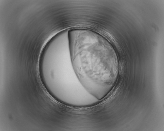 X0000115090780200911101523