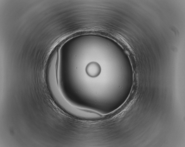 X0000115090781200911101523