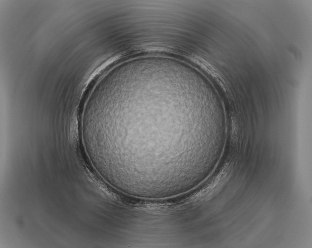 X0000115090782200911101523