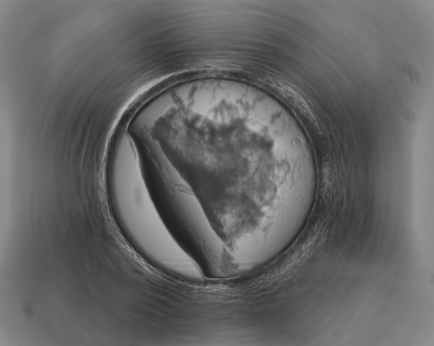 X0000115090784200911101523