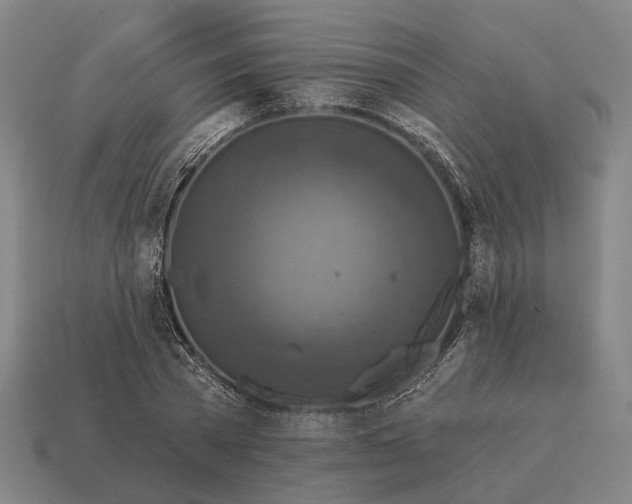 X0000115090785200911101523