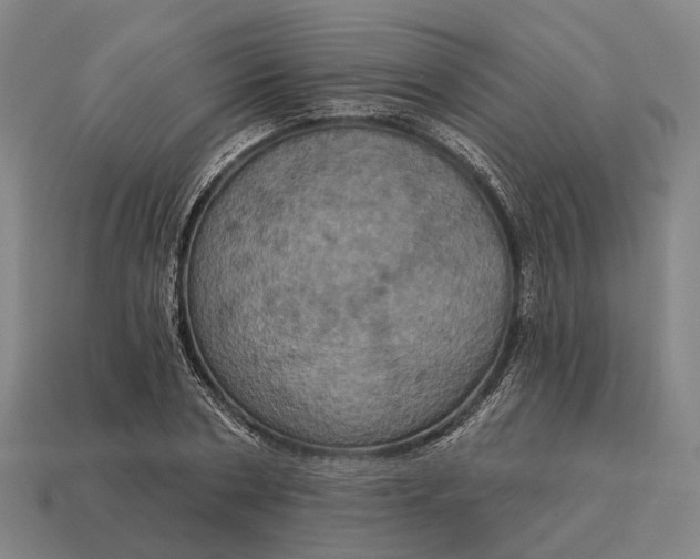 X0000115090786200911101523