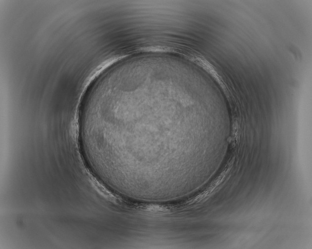 X0000115090787200911101523