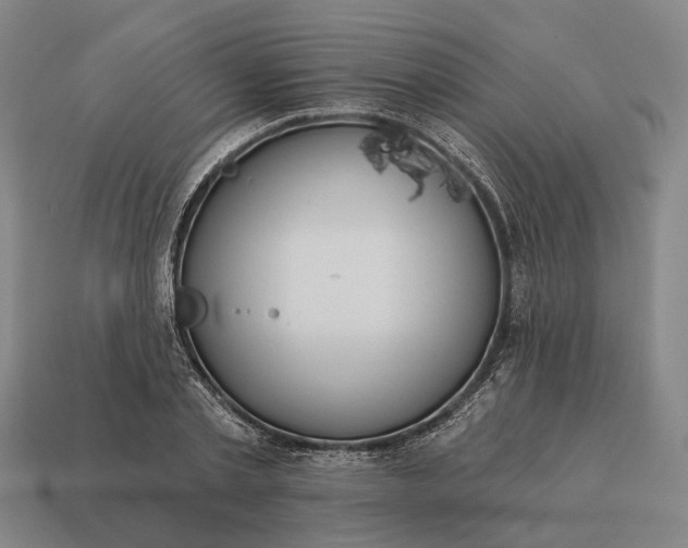 X0000115090789200911101523
