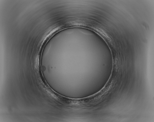 X0000115090790200911101523