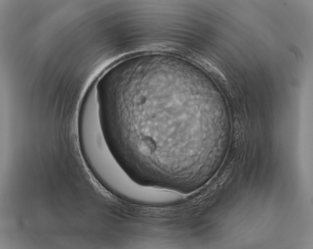 X0000115090792200911101523