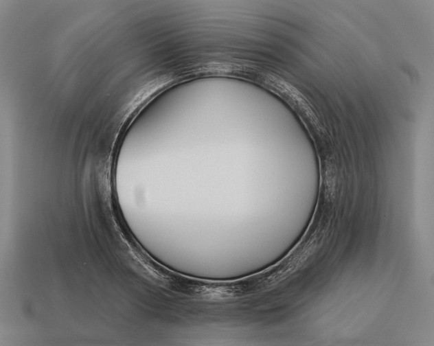 X0000115090794200911101523