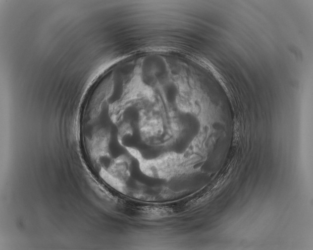 X0000115090795200911101523