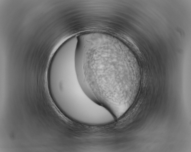 X0000115090796200911101523