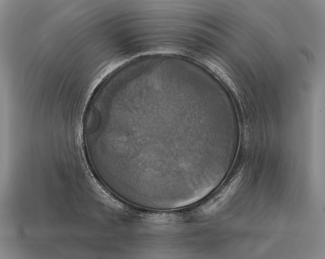 X0000115090797200911101523