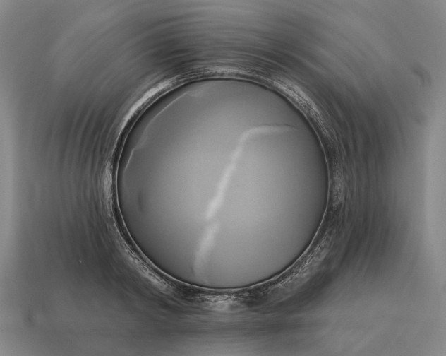 X0000115090798200911101523