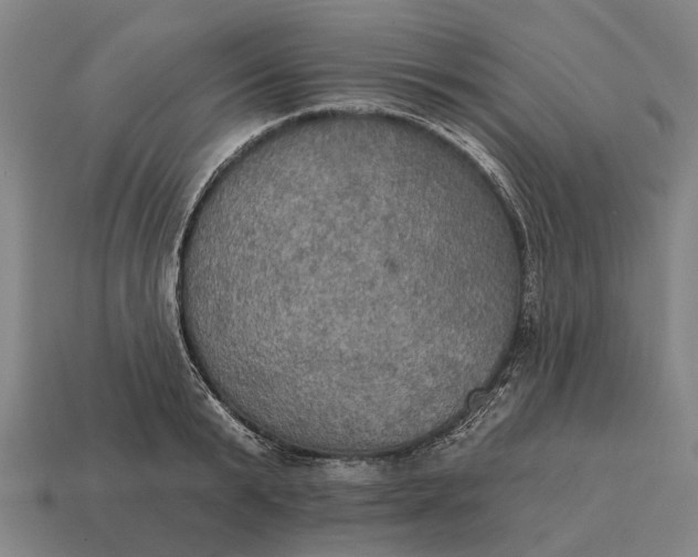 X0000115090799200911101523