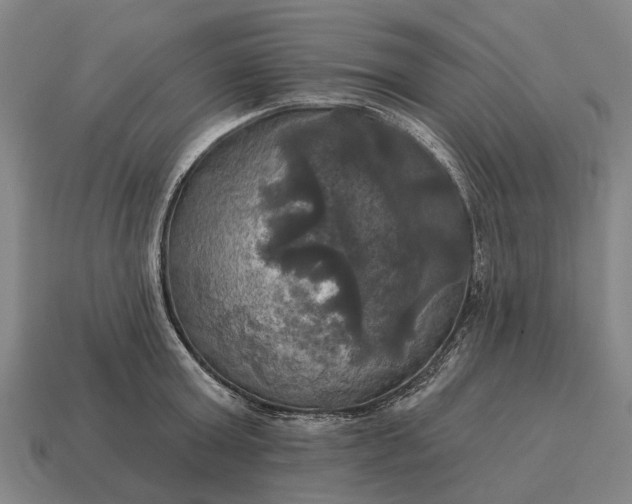 X0000115090803200911101522